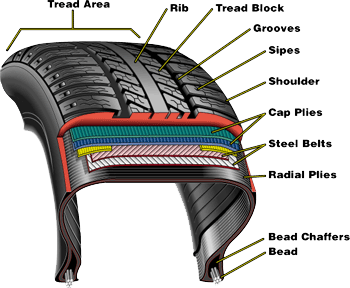 Tire Anatomy Chart