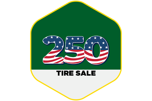 USA Flag themed 250 against a green background in a hexagon.