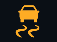 Traction Control Icon
